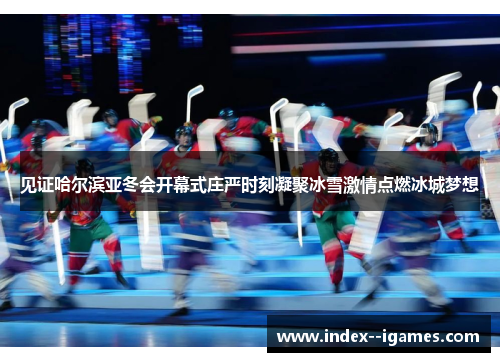 见证哈尔滨亚冬会开幕式庄严时刻凝聚冰雪激情点燃冰城梦想 见证哈尔滨亚冬会开幕式庄严时刻凝聚冰雪激情点燃冰城梦想