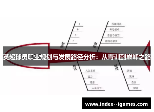英超球员职业规划与发展路径分析：从青训到巅峰之路
