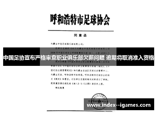 中国足协宣布严格审查职业俱乐部欠薪问题 逾期将取消准入资格 中国足协宣布严格审查职业俱乐部欠薪问题 逾期将取消准入资格